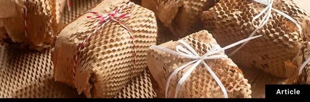Packaging Summits - Article