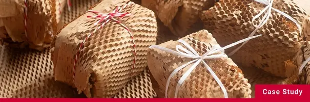 Packaging Summits - Case Study